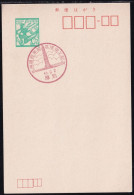 Japan Commemorative Postmark, 1970 Hookaido 100 Years Monument (jci6011) - Otros