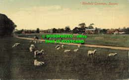 R556790 Henfield Common. Sussex. Brighton Palace Series. Pictorial Centre. No. 1 - Mundo