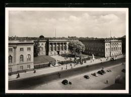 AK Berlin, Unter Den Linden, Blick Auf Die Universität  - Mitte