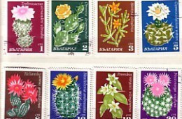 1970 Flora  Cactuses Set Of  8v.-used/oblitere (O)  BULGARIA  / Bulgarie - Usados