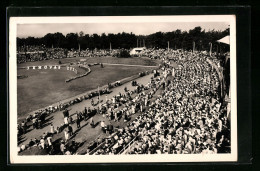 AK Frankfurt-Niederrad, Hauptversammlung Reine Anbetung Von Jehovas Zeugen 1951, Stadion  - Frankfurt A. Main