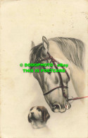 R557524 Horse And Dog. Wildt And Kray. No. 2787. 1913 - Mundo