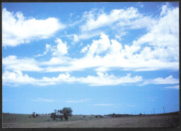 Stati Uniti/United States/États Unis: Intero, Stationery, Entier, Nuvole, Clouds, Nuages, (Altocumulus Castellanus) - Environment & Climate Protection