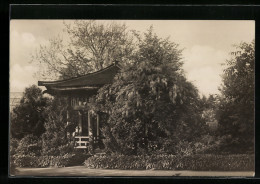 AK Berlin-Dahlem, Japanische Laube Im Botanischen Garten  - Dahlem