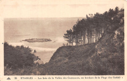 22-ETABLES-N°T5079-D/0175 - Etables-sur-Mer