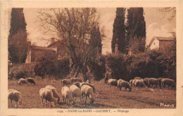 04-DIGNE LES BAINS GAUBERT-N°T5079-C/0387 - Digne