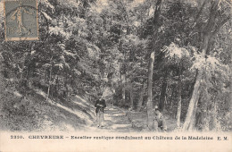 78-CHEVREUSE ESCALIER RUSTIQUE-N°T5080-F/0101 - Chevreuse