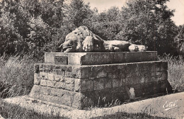 55-DOUAUMONT MONUMENT DE LA CHAPELLE SAINT FINE-N°T5081-H/0183 - Douaumont