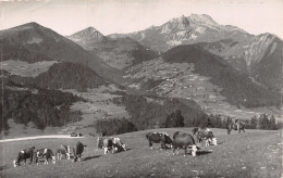 74-MORZINE-N°T5082-C/0291 - Morzine