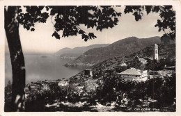 2B-CAP CORSE PINO-N°T5083-D/0269 - Other & Unclassified