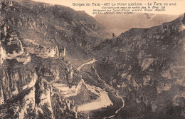 48 GORGES DU TARN ROQUE AIGUILLE - Gorges Du Tarn