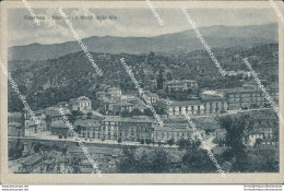 Ao594 Cartolina Cosenza Citta' Panorama E Monti Della Sila - Cosenza