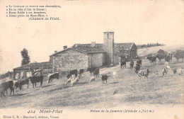 42-MONT PILAT-N°T5084-G/0269 - Mont Pilat