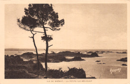 22-ILE DE BREHAT ILE BENIGUET-N°T5084-G/0197 - Ile De Bréhat