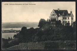 AK Salenstein, Blick Auf Das Schloss Und Insel Reichenau  - Salenstein