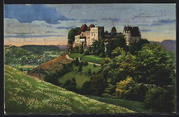 AK Lenzburg, Blick Auf Das Schloss  - Lenzburg