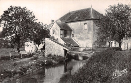 77 PERTHES EN GATINAIS LE GRAND MOULIN - Perthes