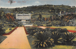 ALGERIE ALGER JARDIN D ESSAI - Algiers