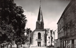 49 DOUE LA FONTAINE L EGLISE SAINT PIERRE - Doue La Fontaine