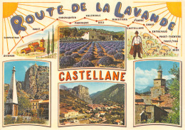 04-CASTELLANE-N° 4440-B/0301 - Castellane