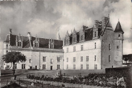 37 AMBOISE LE CHÂTEAU - Amboise