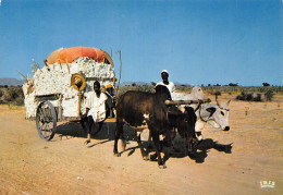 ALGERIE SCENES ET TYPES CART OF COTTON WOOL - Scenes