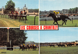 60 CHANTILLY LES COURSES HIPPIQUES - Chantilly