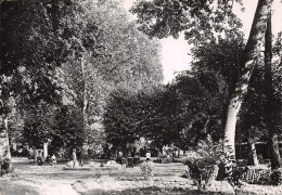 77 LA FERTE SOUS JOUARRE LES JARDINS - La Ferte Sous Jouarre