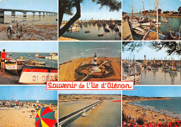 17 ILE D’OLERON LA PLAGE DE DOMINO - Ile D'Oléron