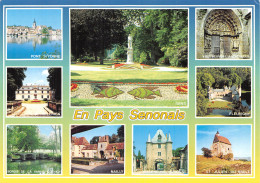 89-EN PAYS SENONAIS-N° 4442-C/0229 - Sonstige & Ohne Zuordnung