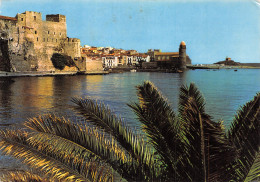 66-COLLIOURE-N° 4442-B/0159 - Collioure