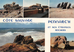 29-PENMARCH LA COTE SAUVAGE-N° 4443-C/0051 - Penmarch