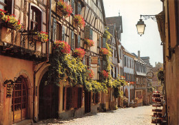 68-RIQUEWIHR-N° 4443-B/0217 - Riquewihr