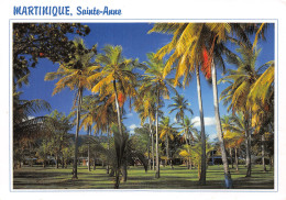 972-MARTINIQUE SAINTE ANNE-N° 4444-D/0127 - Autres & Non Classés