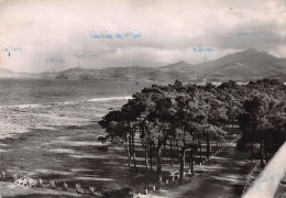 66-ARGELES PLAGE-N° 4444-C/0189 - Argeles Sur Mer