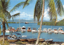 971-GUADELOUPE POINTE A PITRE-N° 4444-D/0317 - Sonstige & Ohne Zuordnung