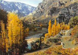 48-GORGES DU TARN ENTRE LA MALENE ET LE CIRQUE DES BAUMES-N° 4445-C/0313 - Gorges Du Tarn