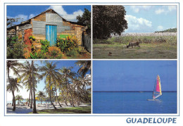 971-GUADELOUPE HABITAT TRADITIONNEL-N° 4445-B/0191 - Sonstige & Ohne Zuordnung