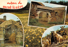 48-LE MONT LOZERE-N° 4445-B/0053 - Autres & Non Classés