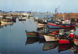 56-QUIBERON-N° 4446-A/0023 - Quiberon