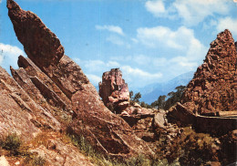 20-LES CALANQUES DE PIANA-N° 4445-D/0283 - Sonstige & Ohne Zuordnung