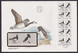 Norwegen Markenheftchen Brtief Zusammendruck Heftchenblatt Seevögel Tierwelt - Cartas & Documentos