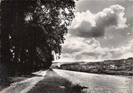 29-LANDERNEAU-N° 4446-D/0373 - Landerneau