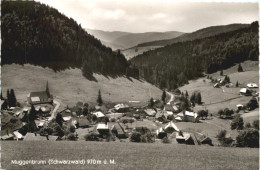 Muggenbrunn Schwarzwald - Todtnau - Todtnau