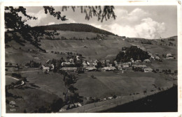 Todtnauberg - Todtnau