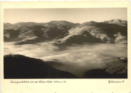 Schwarzwaldblick Von Der Hohen Möhr - Loerrach