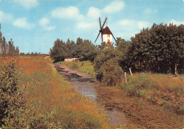 85-PAYS DE MONTS MOULIN VENDEEN-N° 4447-D/0367 - Sonstige & Ohne Zuordnung