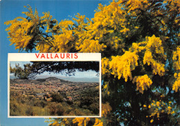 06-VALLAURIS-N° 4448-B/0343 - Vallauris