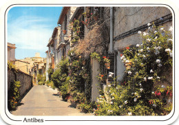 06-ANTIBES-N° 4449-A/0269 - Andere & Zonder Classificatie