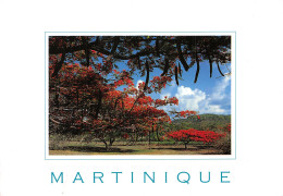 972-MARTINIQUE-N° 4449-A/0249 - Autres & Non Classés